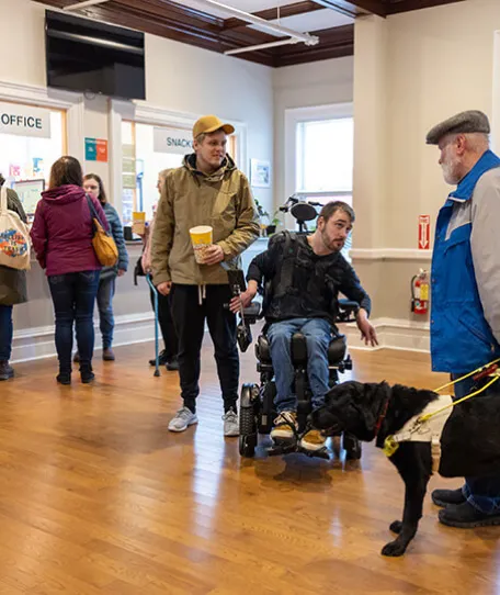 Person in wheelchair with dog