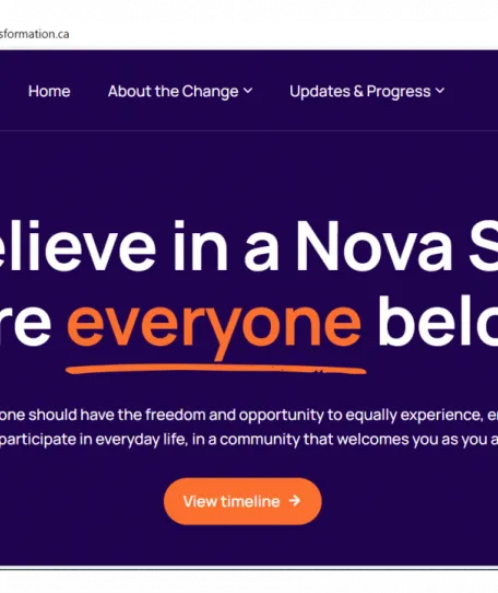 Screenshot of DSP website