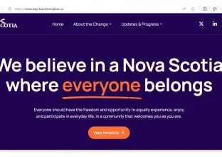 Screenshot of DSP website